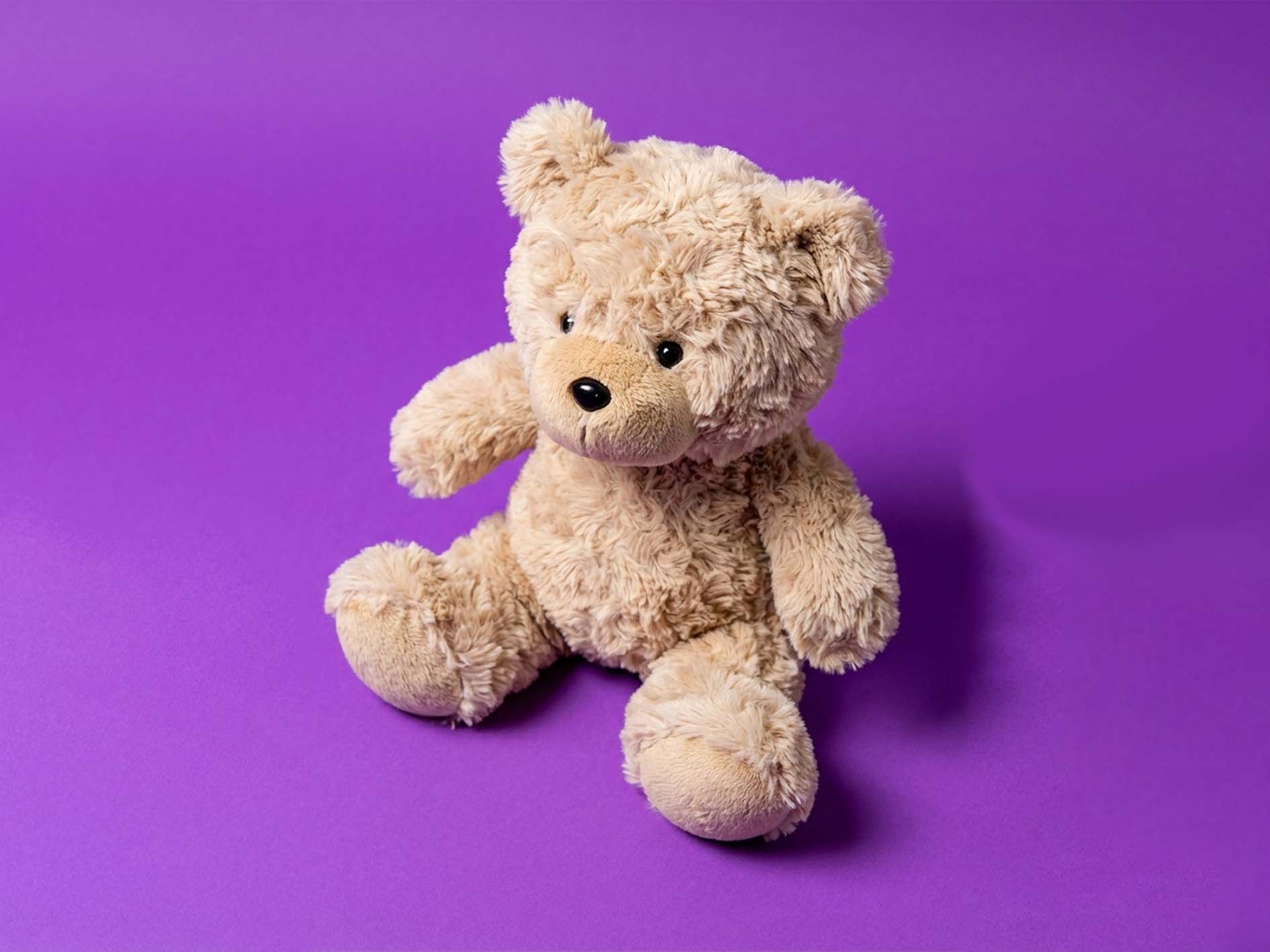 Warm Bear AI plush companion product image